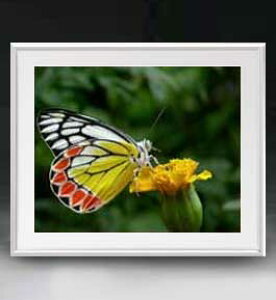 yG MdグzFlowers t[Y 015 A[gt[ TCY zL y zLoX Yz Ԃ̊G Õ 641×531mm CeAA[g  