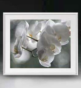 yG MdグzFlowers t[Y 016 A[gt[ TCY zL y zLoX Yz Ԃ̊G Õ 641×531mm CeAA[g  