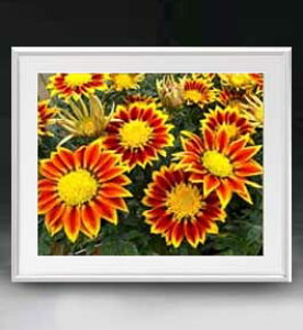 yG MdグzFlowers t[Y 017 A[gt[ TCY zL y zLoX Yz Ԃ̊G Õ 641×531mm CeAA[g  