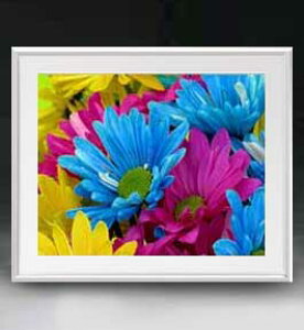 yG MdグzFlowers t[Y 018 A[gt[ TCY zL y zLoX Yz Ԃ̊G Õ 641×531mm CeAA[g  