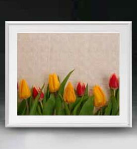 yG MdグzFlowers t[Y 021 A[gt[ TCY zL y zLoX Yz Ԃ̊G Õ 641×531mm CeAA[g  