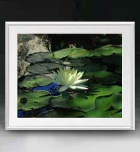 yG MdグzFlowers t[Y 022 A[gt[ TCY zL y zLoX Yz Ԃ̊G Õ 641×531mm CeAA[g  