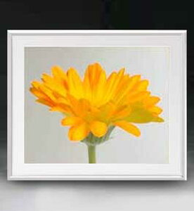 yG MdグzFlowers t[Y 029 A[gt[ TCY zL y zLoX Yz Ԃ̊G Õ 641×531mm CeAA[g  
