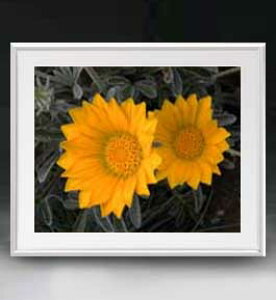 yG MdグzFlowers t[Y 033 A[gt[ TCY zL y zLoX Yz Ԃ̊G Õ 641×531mm CeAA[g  
