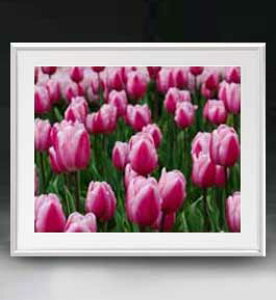yG MdグzFlowers t[Y 036 A[gt[ TCY zL y zLoX Yz Ԃ̊G Õ 641×531mm CeAA[g  