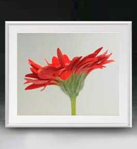 yG MdグzFlowers t[Y 039 A[gt[ TCY zL y zLoX Yz Ԃ̊G Õ 641×531mm CeAA[g  