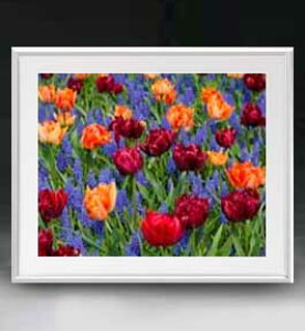 yG MdグzFlowers t[Y 042 A[gt[ TCY zL y zLoX Yz Ԃ̊G Õ 641×531mm CeAA[g  