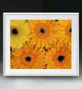 yG MdグzFlowers t[Y 044 A[gt[ TCY zL y zLoX Yz Ԃ̊G Õ 641×531mm CeAA[g  