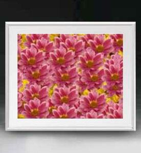 yG MdグzFlowers t[Y 046 A[gt[ TCY zL y zLoX Yz Ԃ̊G Õ 641×531mm CeAA[g  
