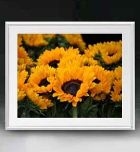 yG MdグzFlowers t[Y 050 A[gt[ TCY zL y zLoX Yz Ԃ̊G Õ 641×531mm CeAA[g  