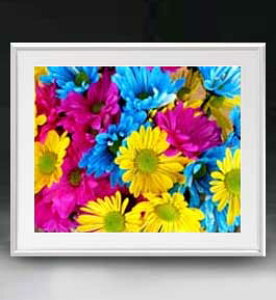 yG MdグzFlowers t[Y 051 A[gt[ TCY zL y zLoX Yz Ԃ̊G Õ 641×531mm CeAA[g  