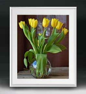 yG MdグzFlowers t[Y 055 A[gt[ TCY zL y zLoX Yz Ԃ̊G Õ 641×531mm CeAA[g  
