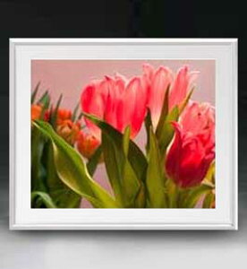 yG MdグzFlowers t[Y 059 A[gt[ TCY zL y zLoX Yz Ԃ̊G Õ 641×531mm CeAA[g  