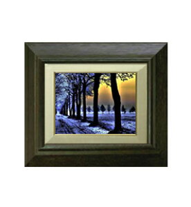 yG Mdグz~̑ F0TCY z yzz G ̔  i 330×290mm zF uE   v[g Mtg JXj JƏj ސEj Vzj r