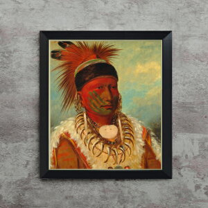 yG MdグzJg The White Cloud, Head Chief of the Iowas F10 yVvt[z G ̔ 10  l 560×485mm   v[g Mtg JXj JƏj ސEj V