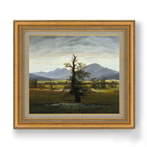yG Mdグzt[hq Solitary Tree F10 yzz G ̔ 10  i 677×603mm   v[g Mtg JXj JƏj ސEj Vzj rO  _