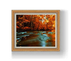 yG Mdグz-H- F12TCY z yzz  i IWiCeAG  z 754×648mm   v[g Mtg JXj JƏj ސEj Vz