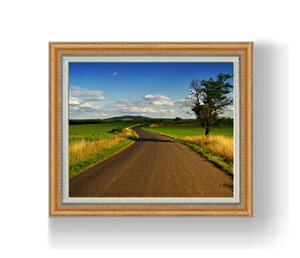 yG MdグzGOX^bgւ̓ F12TCY z yzz  i IWiCeAG  z 754×648mm   v[g Mtg JXj JƏj 