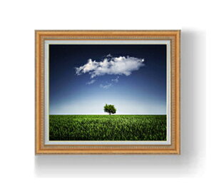 yG Mdグzi`[ANightsky F12TCY z yzz  i IWiCeAG  z 754×648mm   v[g Mtg JXj JƏj 