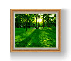 yG Mdグz F15TCY z yzz  i IWiCeAG  CeAA[gG 15 800×678mm   v[g Mtg JXj J