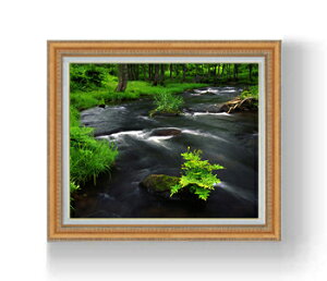 yG Mdグz-炬- F15TCY z yzz  i IWiCeAG  CeAA[gG 15 800×678mm  