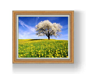 yG Mdグzt-ƍ؂̉- F15TCY z yzz  i IWiCeAG  CeAA[gG 15 800×678mm  