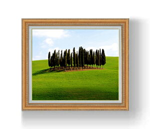 G G Mdl L˂̖؁X F15TCY z yzz  i IWiCeAG  CeAA[gG 15 800×678mm   v[g Mtg JXj