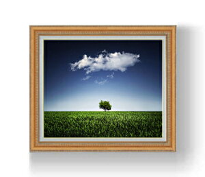 yG Mdグzi`[ANightsky F15TCY z yzz  i IWiCeAG  CeAA[gG 15 800×678mm  