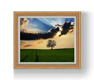 yG MdグzqOh̋u F15TCY z yzz  i IWiCeAG  CeAA[gG 15 800×678mm  