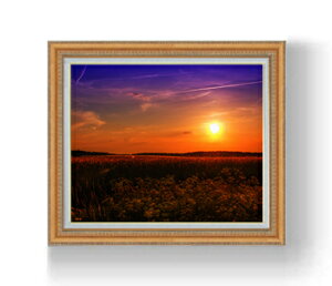 yG Mdグzh-̌- F15TCY z yzz  i IWiCeAG  CeAA[gG 15 800×678mm  