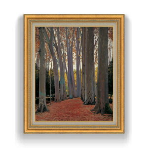 yG MdグzVj[ Avenue of Plane Trees F15 y Y CeAzG ̔ 15 i S[hz 800×678mm   v[g Mtg JXj JƏj ސE