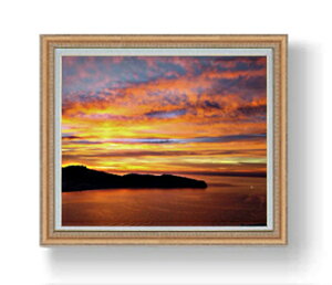 yG Mdグz̉ F20TCY 883×754mm z  i IWiCeAG  A[gG 20   v[g JXj JƏj Vzj rO 