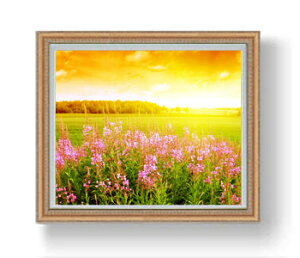 yG MdグzR̗_ F20TCY 883×754mm z  i IWiCeAG  A[gG 20   v[g JXj JƏj Vzj rO 