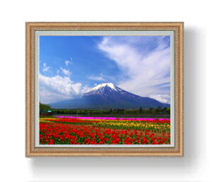 yG MdグztAxmR F20TCY 883×754mm z  i IWiCeAG  A[gG 20   v[g JXj JƏj Vzj r