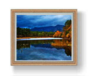 yG MdグzȞ F20TCY 883×754mm z  i IWiCeAG  A[gG 20   v[g JXj JƏj Vzj rO 