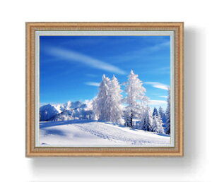 yG Mdグz~̌z F20TCY 883×754mm z  i IWiCeAG  A[gG 20   v[g JXj JƏj Vzj rO 