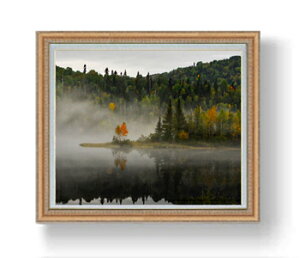 yG MdグzAF[NA F20TCY 883×754mm z  i IWiCeAG  A[gG 20   v[g JXj JƏj Vzj 