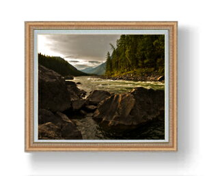 yG MdグzV[No[̐ F20TCY 883×754mm z  i IWiCeAG  A[gG 20   887×766mm