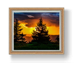 yG Mdグz~fuO̕i F20TCY 883×754mm z  i IWiCeAG  A[gG 20   887×766mm