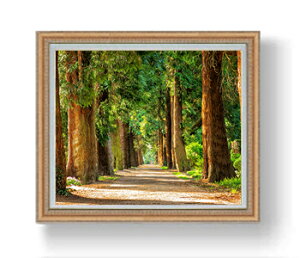 yG MdグzV΂̃Axj[ F20TCY 883×754mm z  i IWiCeAG  A[gG 20   v[g JXj JƏj Vzj 