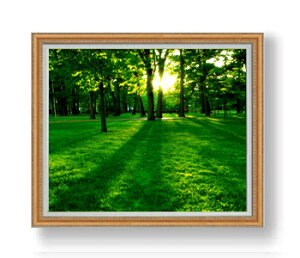 yG Mdグz F30TCY z yzz  i IWiCeAG  A[gG 30 傫ȊGTCY z   1070×887mm