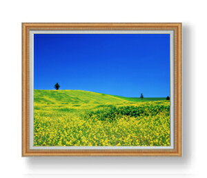 yG Mdグzt-؂̉Ԕ- F30TCY z yzz  i IWiCeAG  A[gG 30 傫ȊGTCY z   1070×887mm