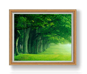 yG Mdグzthe green woods F30TCY z yzz  i IWiCeAG  A[gG 30 傫ȊGTCY z   1070×887mm
