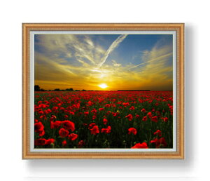 yG Mdグz[Al F30TCY z yzz  i IWiCeAG  A[gG 30 傫ȊGTCY z   1070×887mm