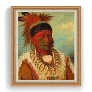 yG MdグzJg The White Cloud, Head Chief of the Iowas F30TCY y Y CeAzG ̔ 30 傫ȊGTCY z l z 1070×887mm  