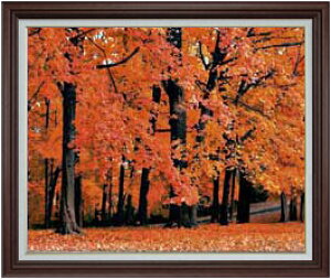 油絵 紅葉 絵画の人気商品 通販 価格比較 価格 Com