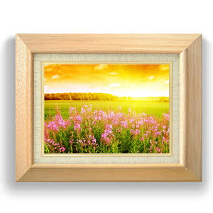 yG MdグzR̗_ F4TCY z yLoXEzz  i IWiCeAG  479×389mm   v[g Mtg JXj JƏj ސEj