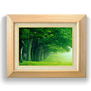 yG Mdグzthe green woods F4TCY z yLoXEzz  i IWiCeAG  479×389mm   v[g Mtg JXj JƏj ސEj