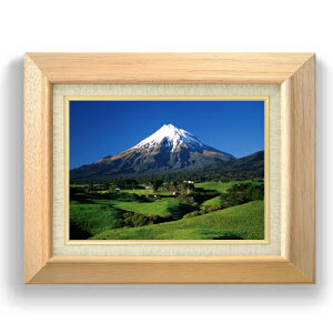 yG MdグzV΁AxmR F4TCY z yLoXEzz  i IWiCeAG  479×389mm   v[g Mtg JXj JƏj ސE