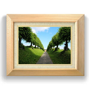 yG MdグzLbXAxj[ F4TCY z yLoXEzz  i IWiCeAG  479×389mm   v[g Mtg JXj J